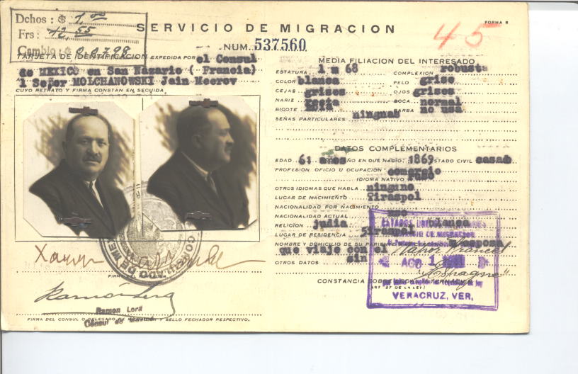 Jain Meerov Molchanowski