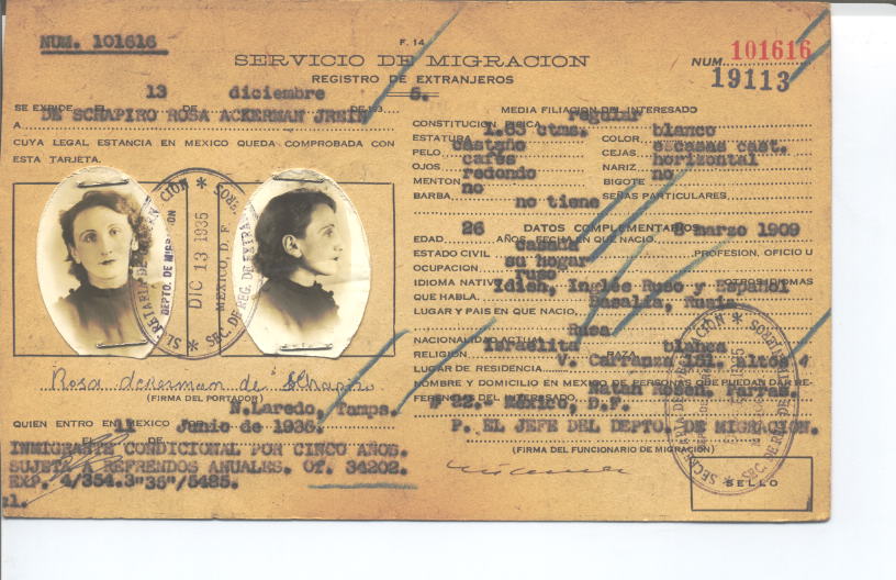 Rosa Ackerman de Schapiro