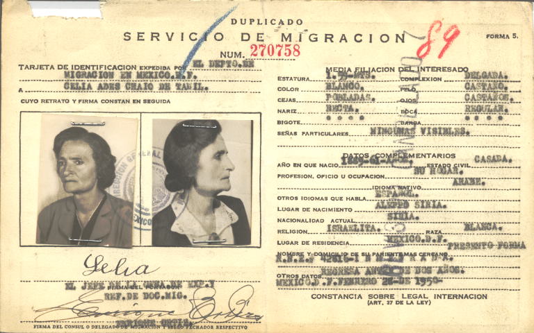 Celia Ades Chaio de Tawil