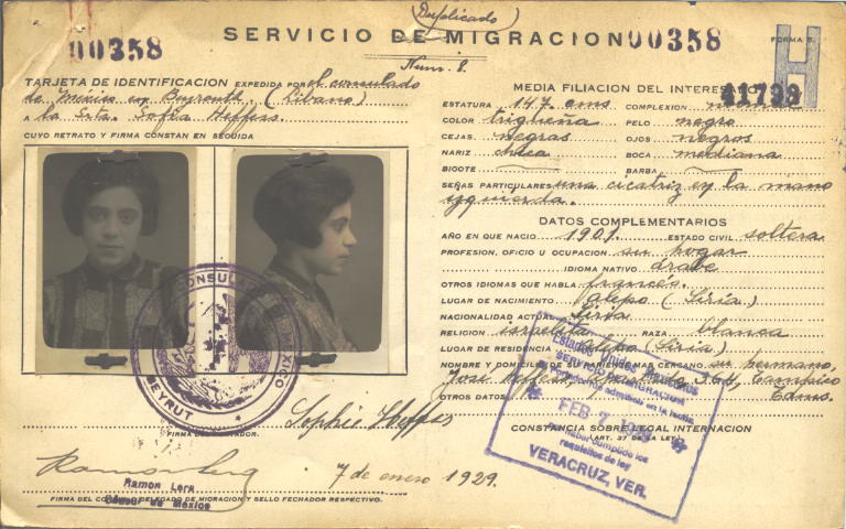 Sofia Heffers Bistre