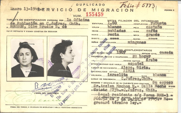 Dibe Mochon Bradie de