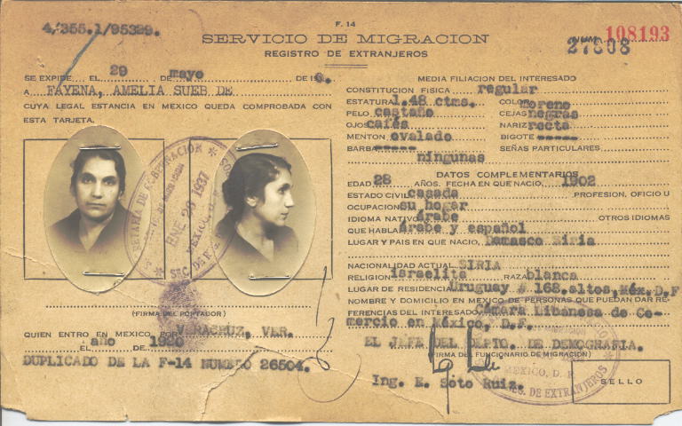 Amelia Sueb de Fayena