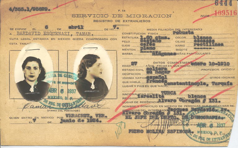 Tamar Bardavid Esquenazi