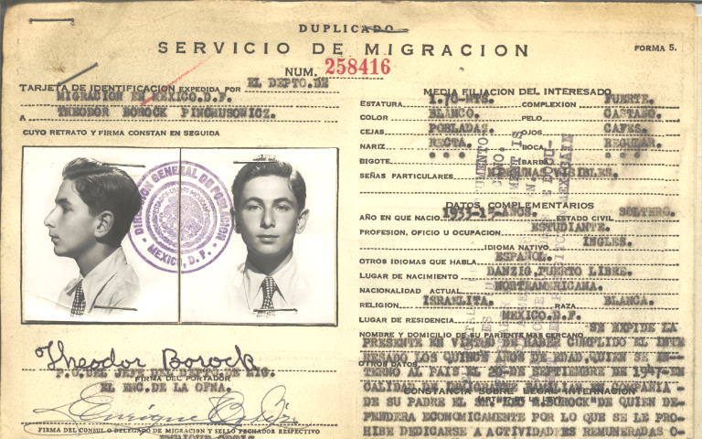 Theodor Borock Pinchusowicz