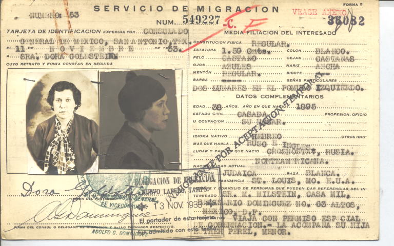 Dora Grunsyein de Goldstein