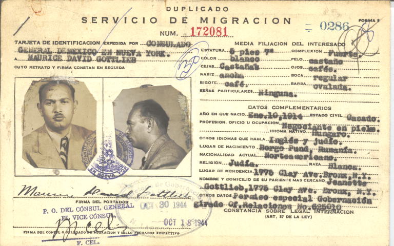 Maurice David Gottlieb