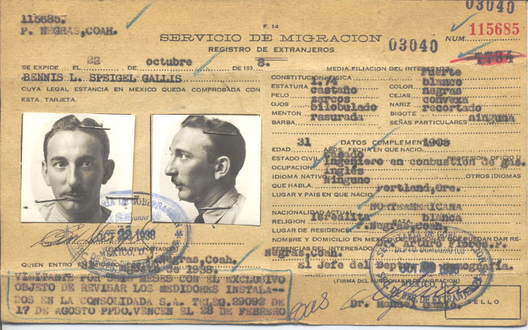 Bennis Speigel Gallis