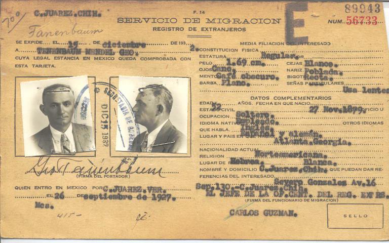 Geo Tanenbaum Mendel